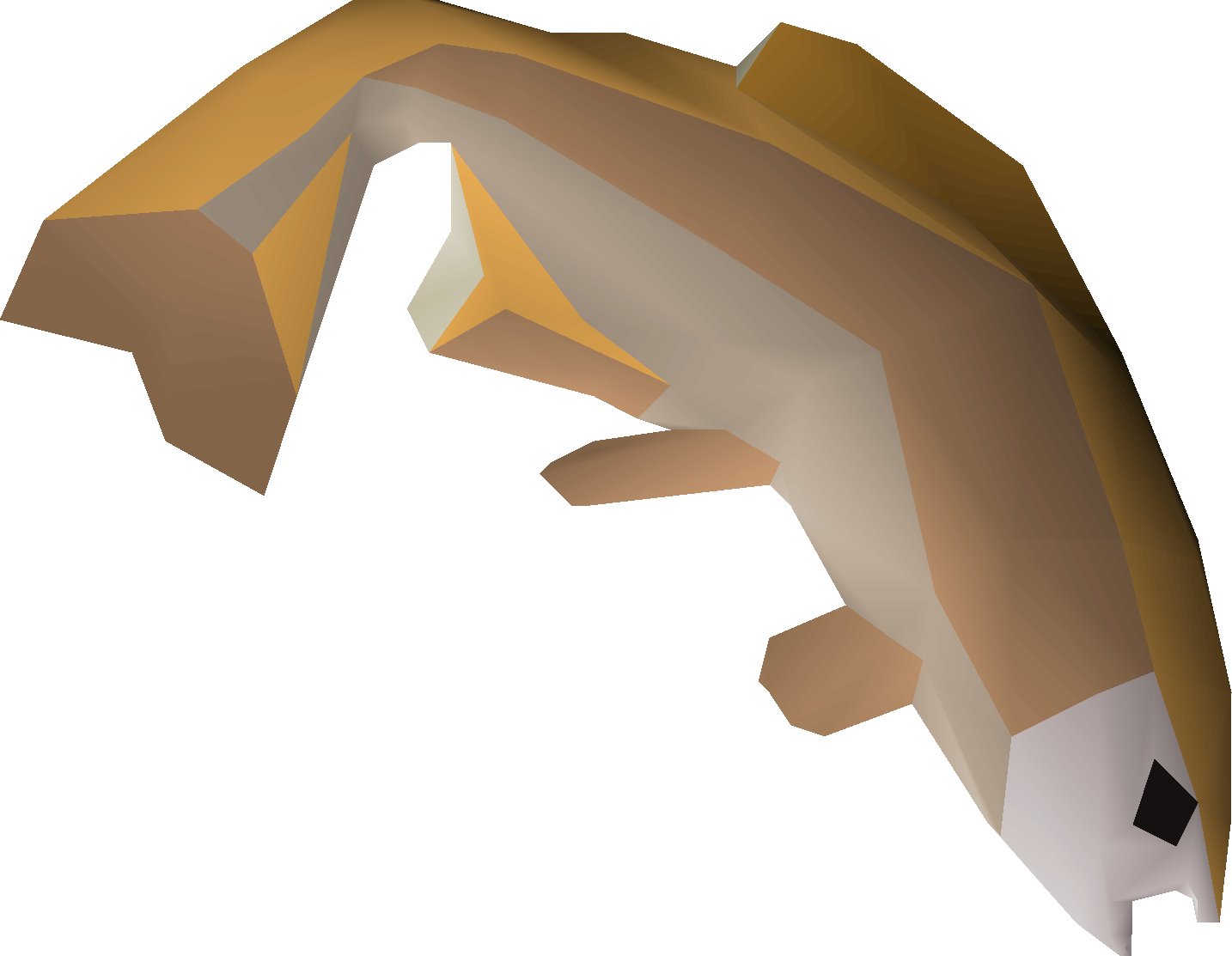 Golden tench detailed picture