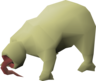 Acidic Bloodveld - OSRS monster