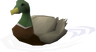 Duck - OSRS monster