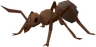 Giant ant - OSRS monster