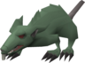 Giant crypt rat - OSRS monster