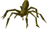 Giant spider - OSRS monster