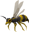 Giant wasp - OSRS monster
