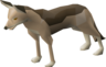 Jackal - OSRS monster