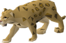 Jaguar cub - OSRS monster