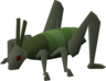 Locust - OSRS monster