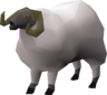 Ram - OSRS monster