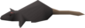 Rat - OSRS monster