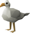 Seagull - OSRS monster