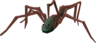 Spidine - OSRS monster