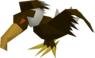 Vulture - OSRS monster