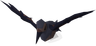 Webbed-winged Crow - OSRS monster